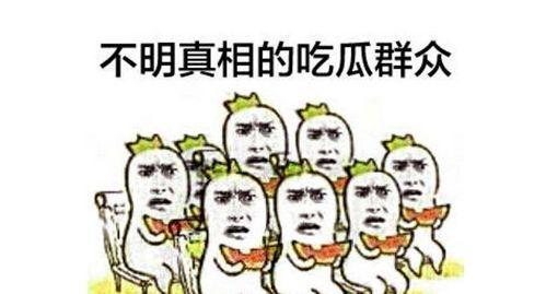 吃瓜群众购物冲突,一场购物狂潮中的意外风波