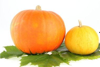 楠瓜吃瓜,揭秘娱乐圈幕后故事