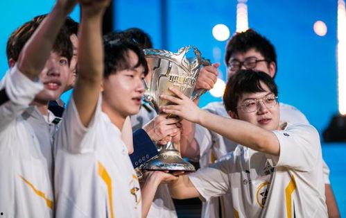 爆料狼队训练视频下载安装,下载安装视频深度解析