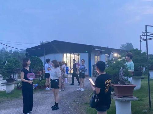 赞枞阳网红,网络新势力下的魅力绽放