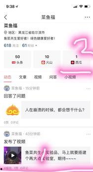 头条视频回答标准,揭秘热门话题背后的真相与观点