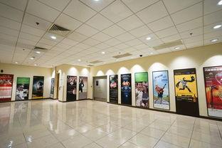 澳门网红机位时间,时间背后的热门打卡地