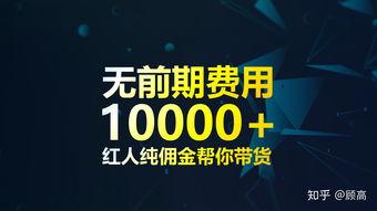 网红卖东西模式是什么,揭秘网红卖货模式背后的秘密