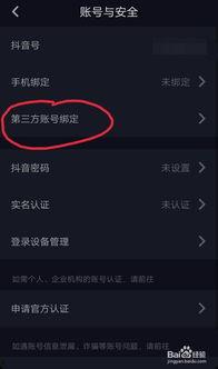 头条视频原图怎么发抖音,轻松制作吸睛概述文章副标题