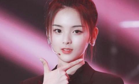 娱乐吃瓜酱王思聪