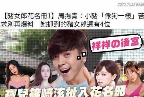 好多娱乐圈吃瓜主播的小说,瓜田里的明星秘闻录